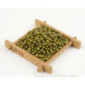 Green Bean 100G